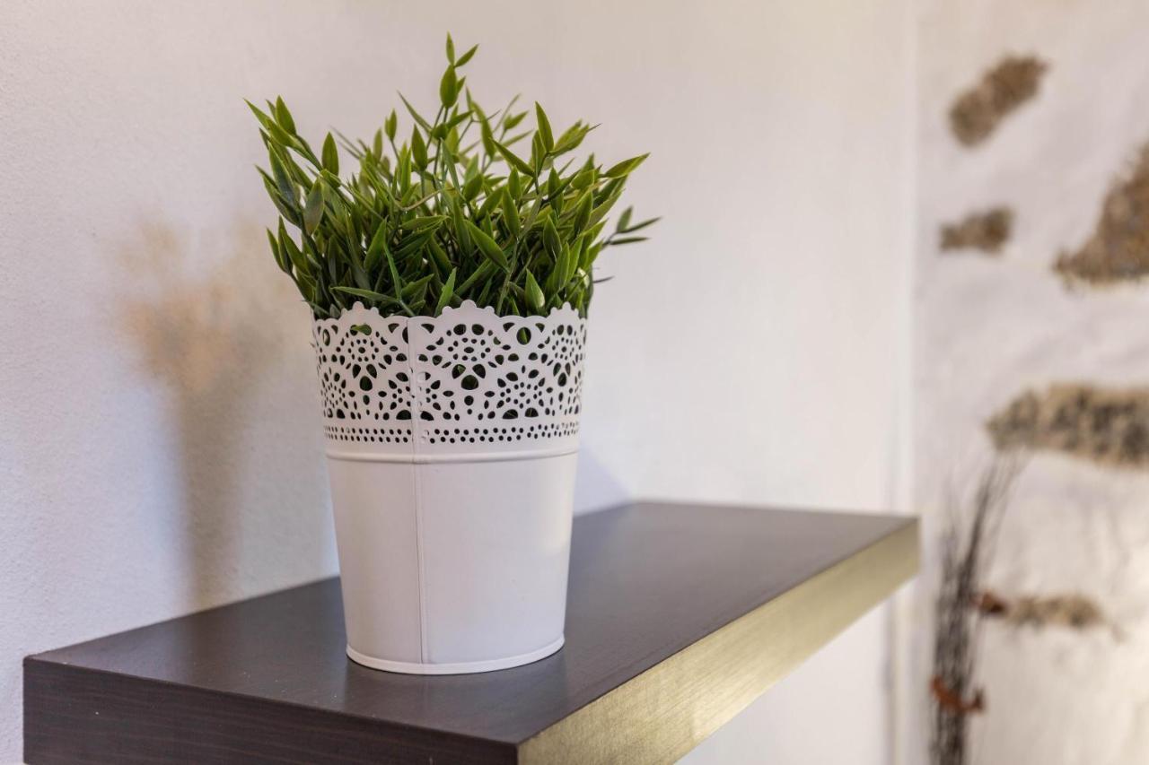 Eden Ecologico En Casa La Fuentita Lejlighed El Charco  Eksteriør billede